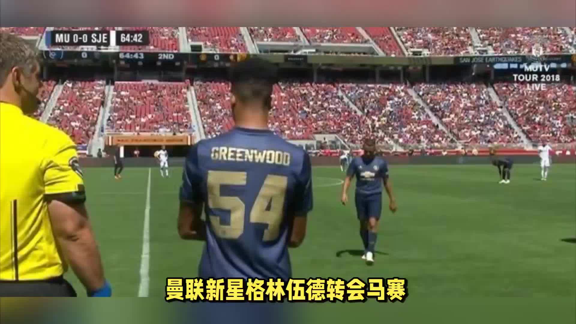 量级金腰